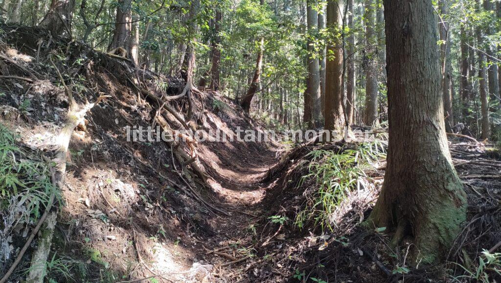 倒木多めの登山道を、ホワテを頼りに登る