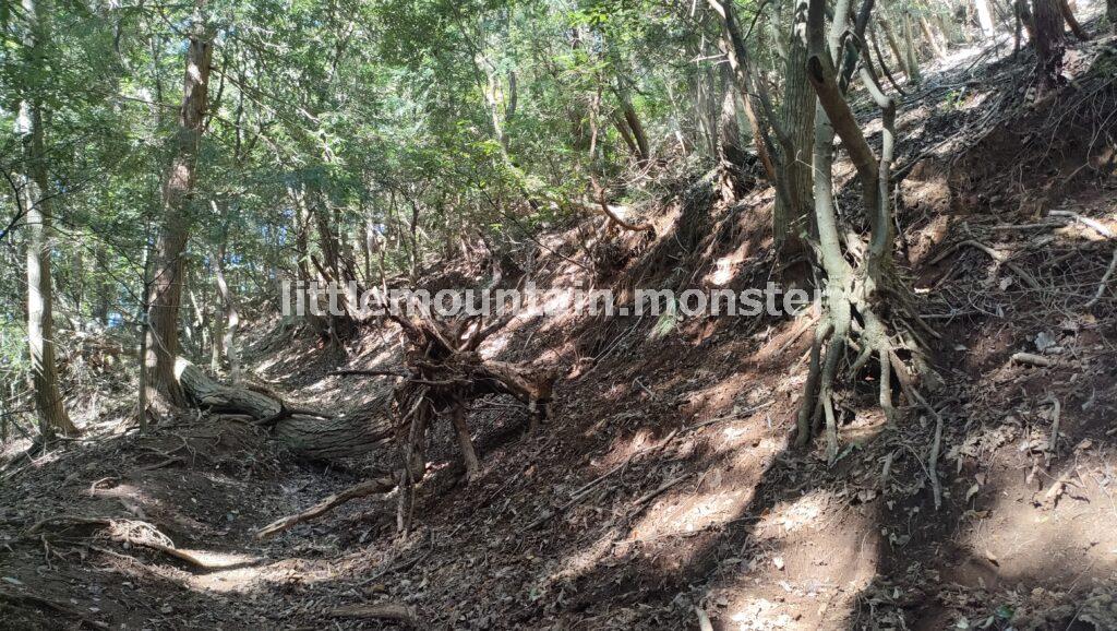 倒木多めの登山道を、ホワテを頼りに登る
