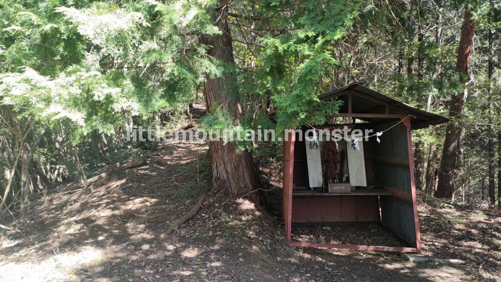 倒木多めの登山道を、ホワテを頼りに登る