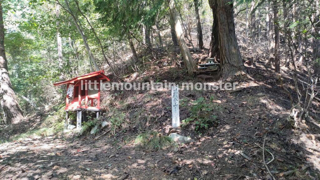 倒木多めの登山道を、ホワテを頼りに登る