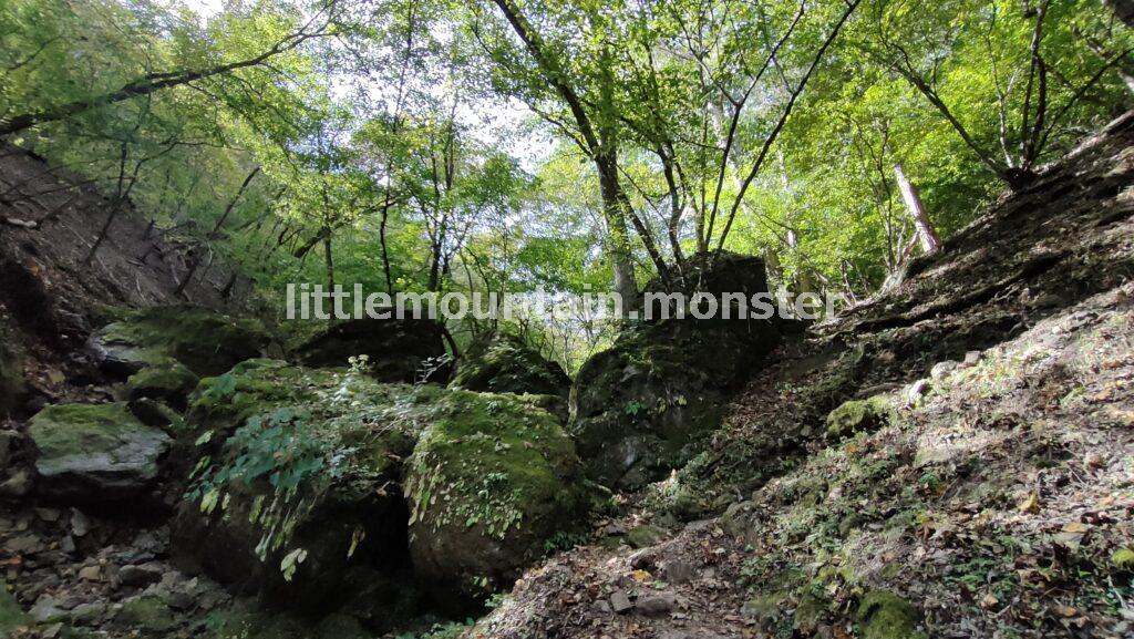 鳥居に一礼！石仏さまに祈りながら参道を登る