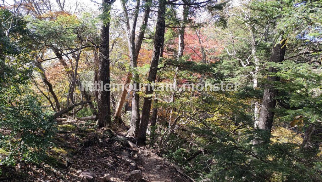 両神神社から山頂まで紅葉狩りをしながら登る