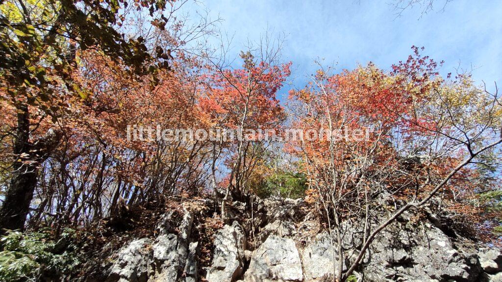両神神社から山頂まで紅葉狩りをしながら登る