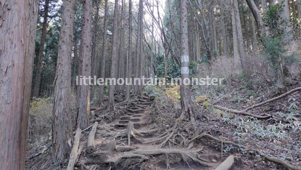 高尾山を目指す途中に小仏城山（670.3m）がありました