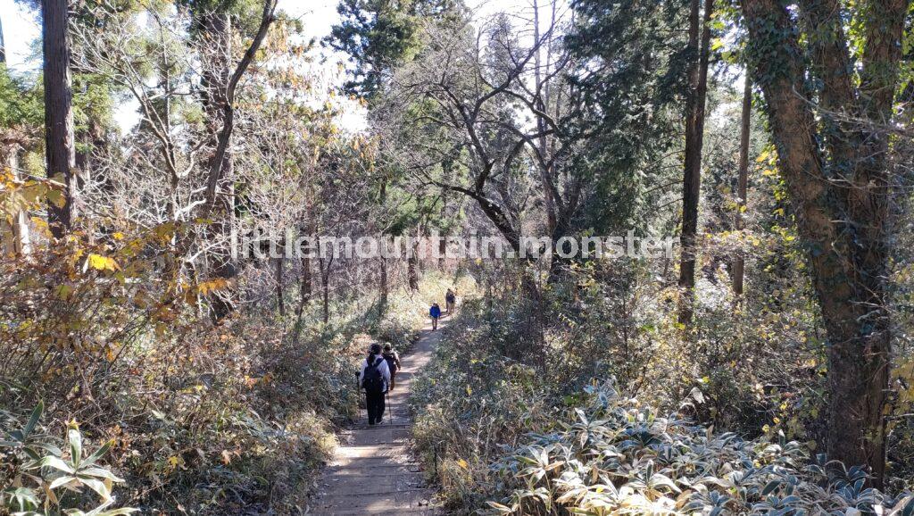 一丁平→もみじ台経由で高尾山山頂を目指すよ（599.15m）