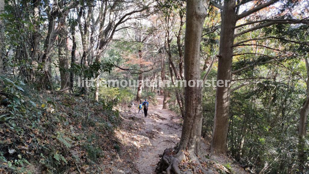 2号路→琵琶滝→6号路で高尾山口駅を目指す