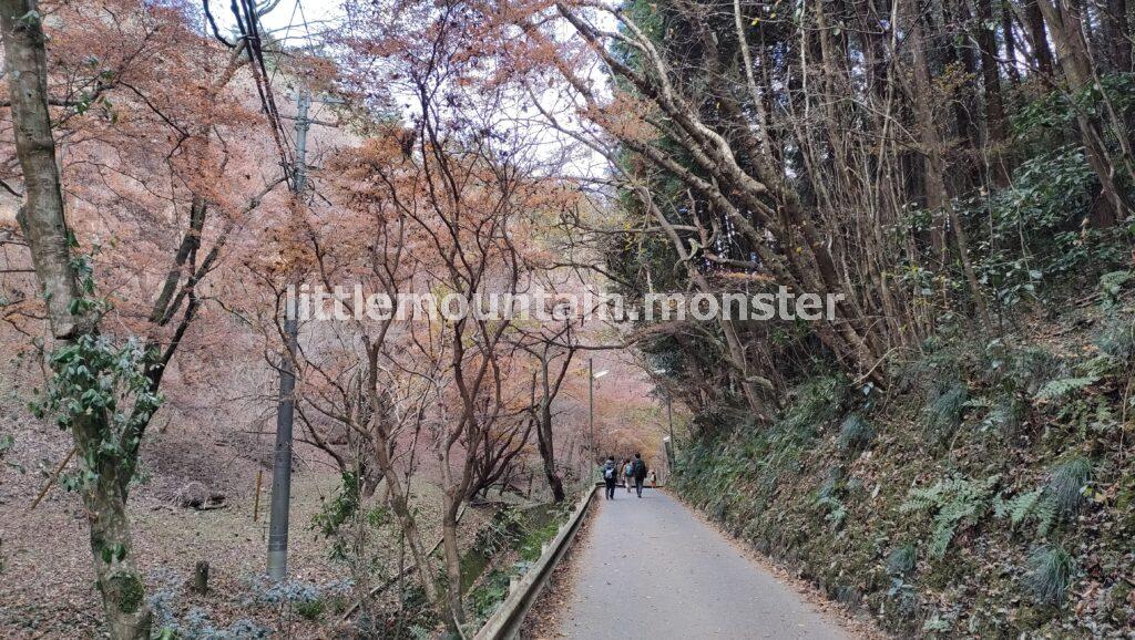 2号路→琵琶滝→6号路で高尾山口駅を目指す