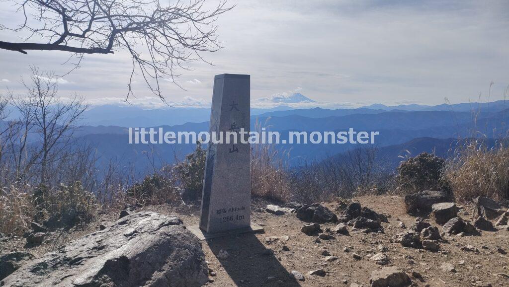 富士山がドーン！大岳山山頂からの絶景