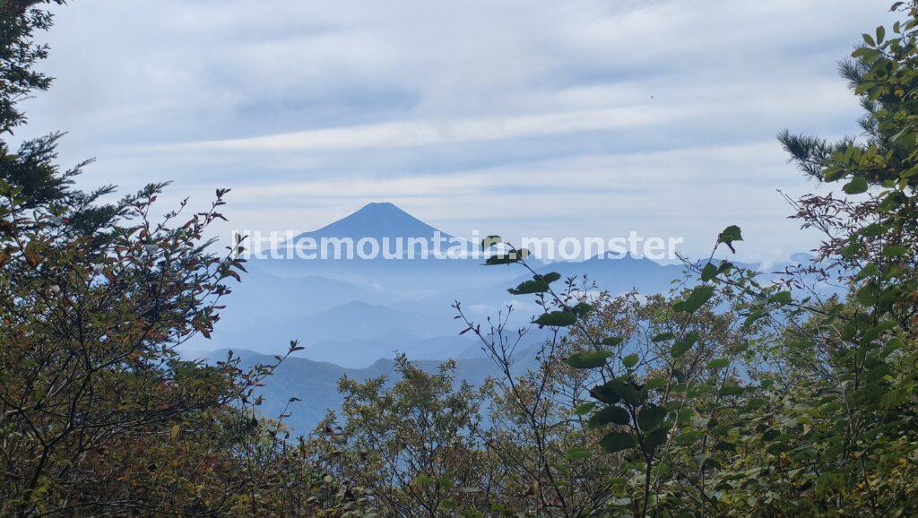 三頭山の3つの山頂を目指し、ブナ林を登る