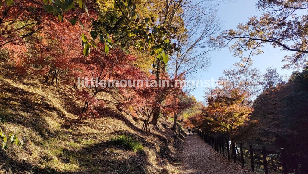 展望台から与謝野晶子「比企の渓」歌碑