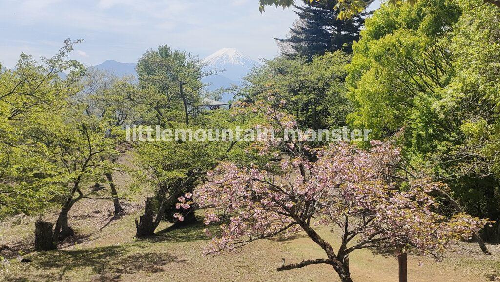 富士山ドーン！岩殿山山頂（634m）